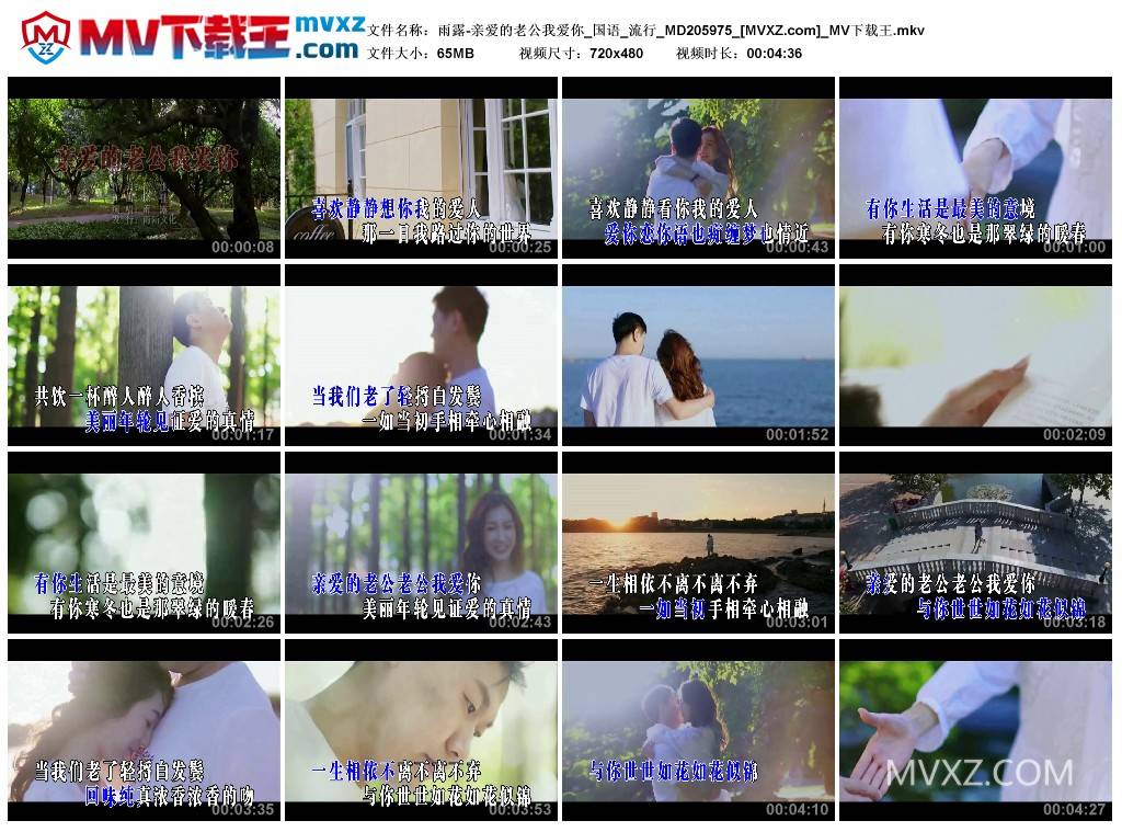 雨露-亲爱的老公我爱你_国语_流行_MD205975